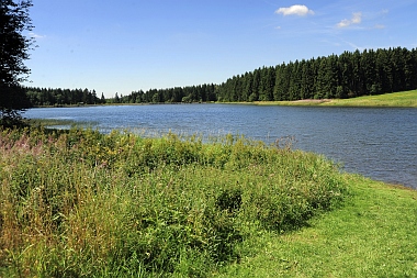 Pixhaier Teich (2) Buntenbock Oberharzer Wasserwirtschaft Bilder